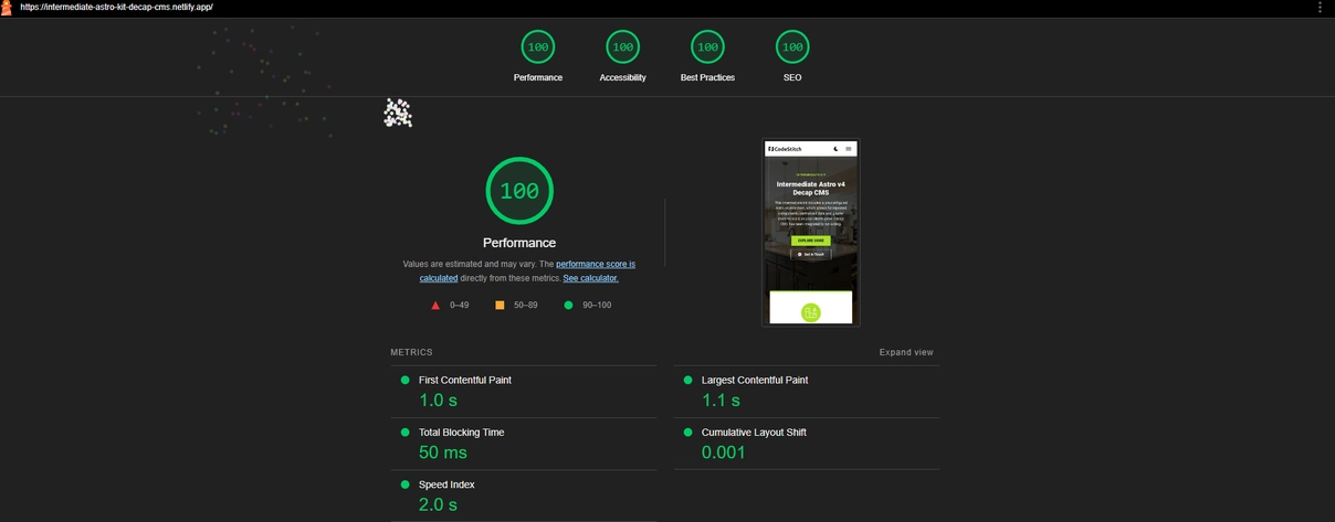 A custom coded website with a perfect PageSpeed Insights score